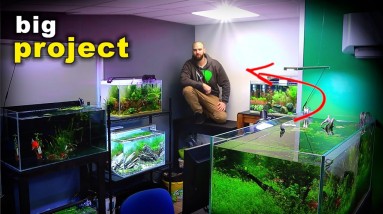 Epic New Project & New Aquariums Update | MD Fish Tanks