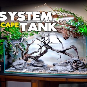 How To: Ecosystem Aquarium NO WATER CHANGES (part 2) | MD Fish Tanks