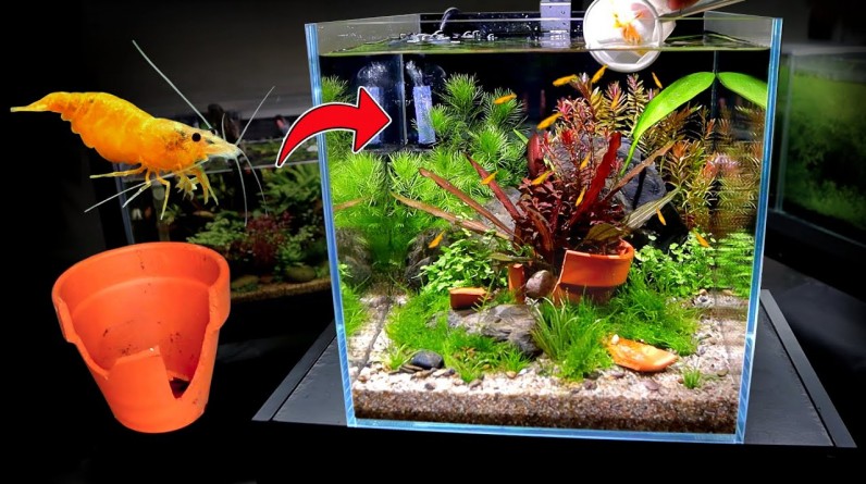 Aquarium Ideas - Broken Pot Tank for Pet Shrimp (How To Planted Fish Tank Step By Step)
