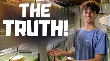 The TRUTH about KeepingFishSimple
