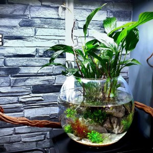 Aquascape Tutorial: Peace Lily Bowl Aquarium (How To: Step By Step Planted Tank Guide)