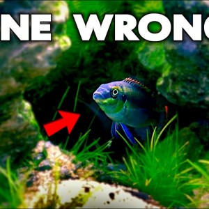 WORST START EVER!! â€“ KRIB TANK FAILURE!! | MD Fish Tanks