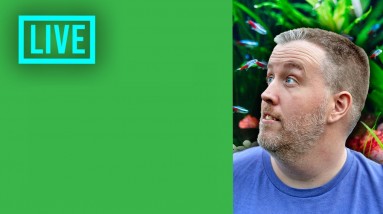 🔴 LIVE - Lets Chat Q&A