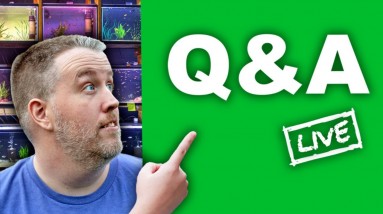 🔴 LIVE - Lets talk Schooling Plants