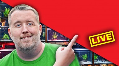 🔴 LIVE - Sunday Fish School