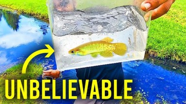 If We Didn’t Record It, You Wouldn’t Believe It