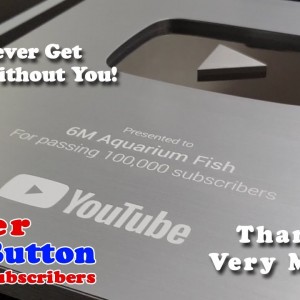 Silver Play Button | 100,000 Subscribers! | Give Away!