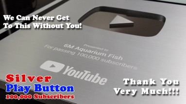 Silver Play Button | 100,000 Subscribers! | Give Away!