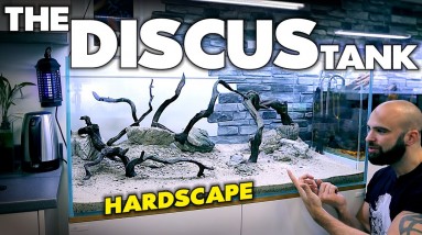 The Discus Tank: Building Hardscape & Substrate System (EP2) | MD fish Tanks