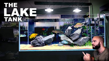 Aquascape Tutorial: EPIC 4ft African Cichlid Aquarium - Lake Tanganyika (How To Step By Step Guide)