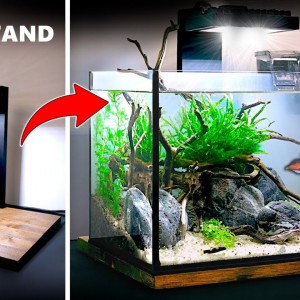 Aquascape Tutorial: DIY Light Stand, Low Tech Planted Aquarium (How To: Step By Step Guide)