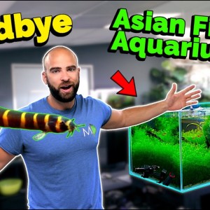 Breaking Down My Asian Fish Aquarium! (BIG NEW PROJECT!!)