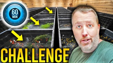 Can You Complete the 1 Hour Challenge?