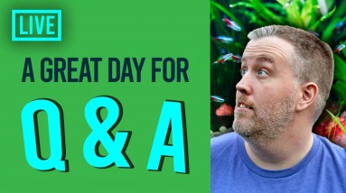 🔴 Aquarium Co-Op Live #246 - Aquarium Nerd Q&A