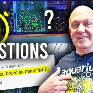 20 Questions with Master Breeder Dean