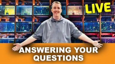 🔴Live - Lets get those questions answered #247