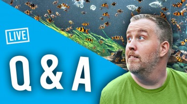 🔴Live - Summer Temporary Ponds &  Q&A #248