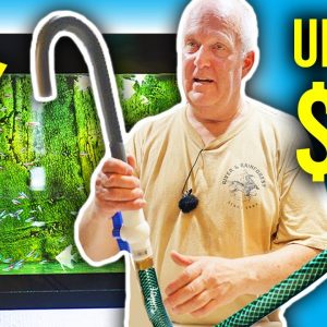Make Water Changes EASY with THIS.