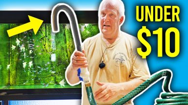 Make Water Changes EASY with THIS.