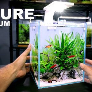 Aquascape Tutorial: TINY 2.6 gal NATURE Aquarium (How To: Step By Step Nano Tank Guide)