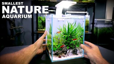 Aquascape Tutorial: TINY 2.6 gal NATURE Aquarium (How To: Step By Step Nano Tank Guide)