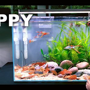 Aquascape Tutorial: RARE GUPPY TANK Natural Style (How To Step By Step Guide)