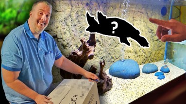 After 15 Years, I FINALLY Got One