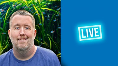 Back from the Jungle Episode 251