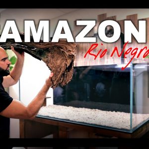 BUILDING THE AMAZON: Rio Negro (EP1)