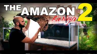 BUILDING THE AMAZON: Rio Negro (EP1)