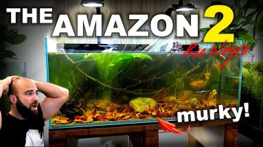BUILDING THE AMAZON: Rio Negro (EP3) Murky Problem!!