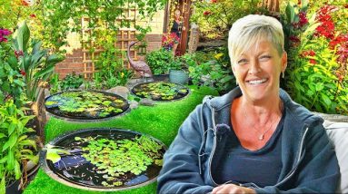 The Ultimate Nature-Lover's Paradise - Ponds and Fish Tour