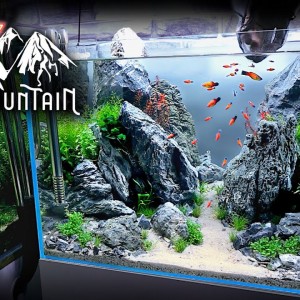 Aquascape Tutorial: PLATY FISH Mountain Aquarium (How To: Step by Step Planted Tank Guide)