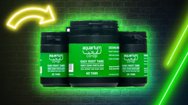 Easy Root Tabs Help Your Aquarium Plants Grow #Shorts