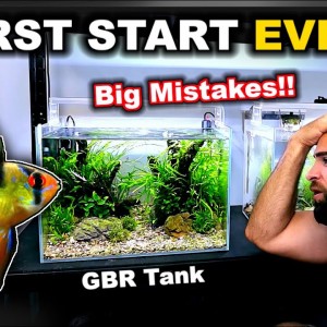 HUGE MISTAKES in the RAM JUNGLE TANK!! MD FISH TANKS