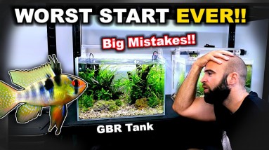 HUGE MISTAKES in the RAM JUNGLE TANK!! MD FISH TANKS