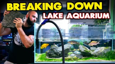 Breaking Down The LAKE AQUARIUM!! Something BIG Is Coming Next!! MD Fish Tanks