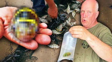 Last Day in the Jungle, Did We Find Them in Time?