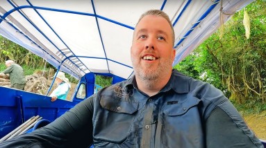 Lost in the Jungle, Searching for Rare Puffer Fish