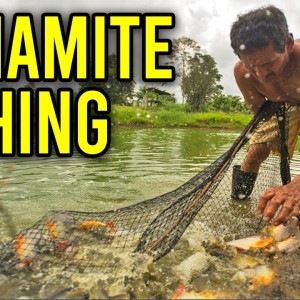 Dynamite Fishing in the Amazon - What I Learned From Locals