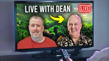 Live Stream  #253 with Deans Fish Room.