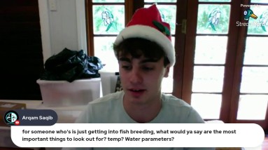 100k Subscriber Christmas Livestream! Q&A!