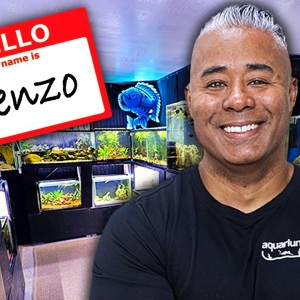 Meet the Team - Zenzo at Aquarium Co-Op