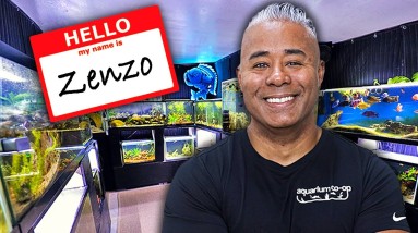 Meet the Team - Zenzo at Aquarium Co-Op