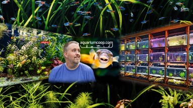 That's not your normal live stream time.