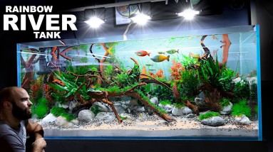 The Rainbowfish River Tank: EPIC 4ft Aquascape Tutorial 2 The Rainbowfish River Tank: EPIC 4ft Aquascape Tutorial