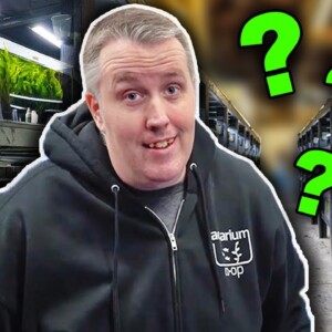 I Snuck Into the Warehouse to Answer Your Questions!