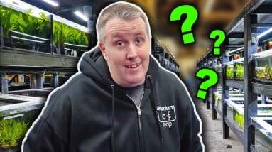 I Snuck Into the Warehouse to Answer Your Questions!