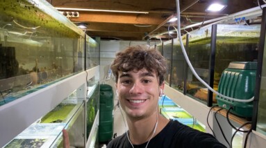 Live in the Fish Room! Q&A!!