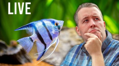 Live - Starting Question, How often should you test your water?